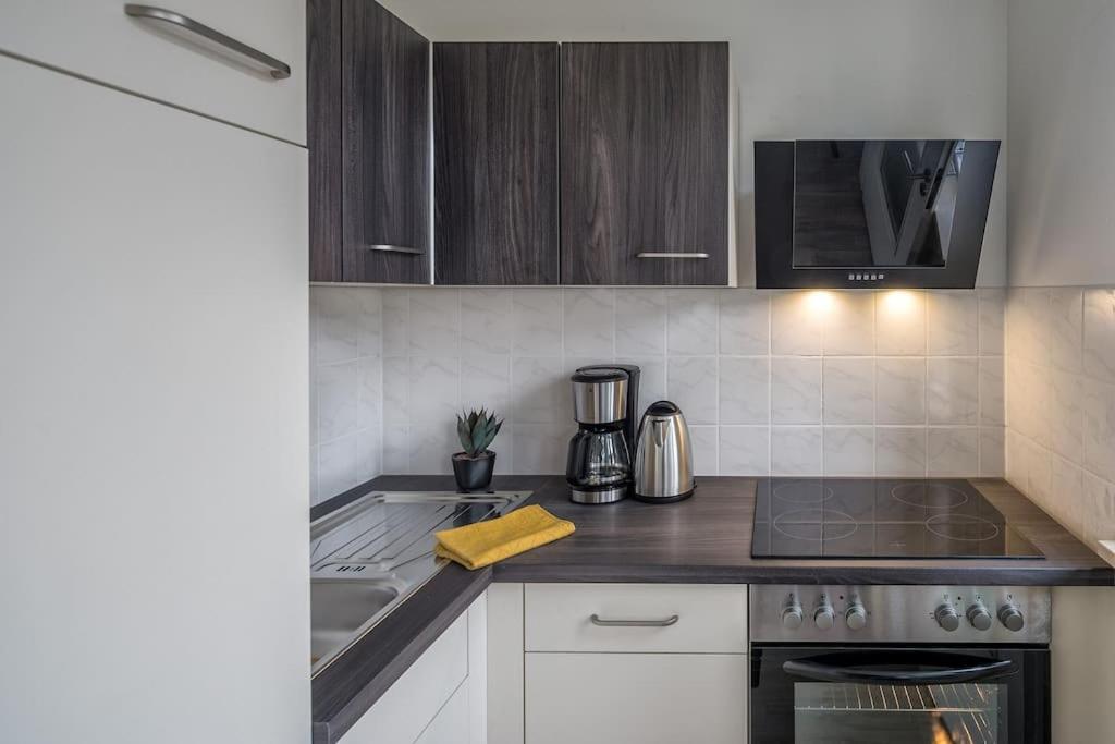 Cozy Apartment I Zentrumsnah I Wlan Dresden Exterior photo